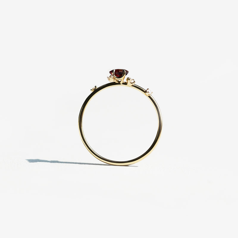 Victoria Satellite Ring